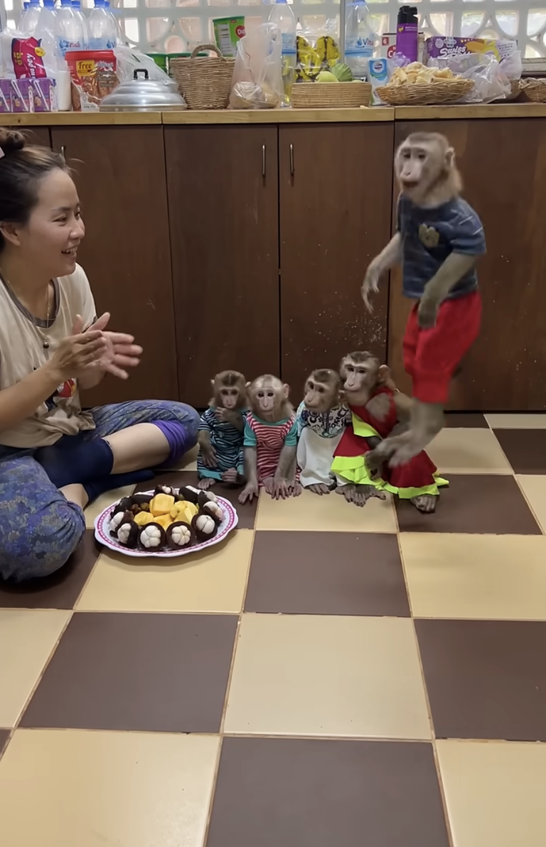 Wow! Jacky Is Dancing for the Whole Family — Such a Fun and Adorable Moment! 🐒💃