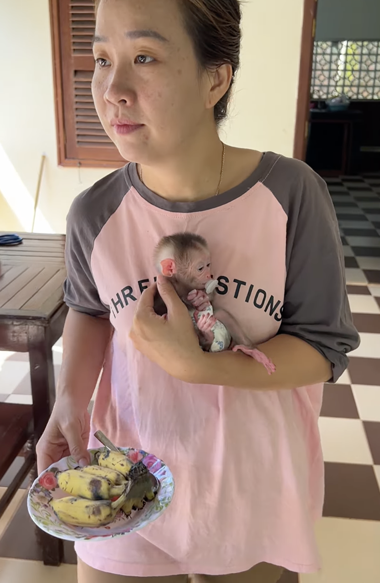 Mom Cares for Baby Linda So Much With Love 🐒❤️