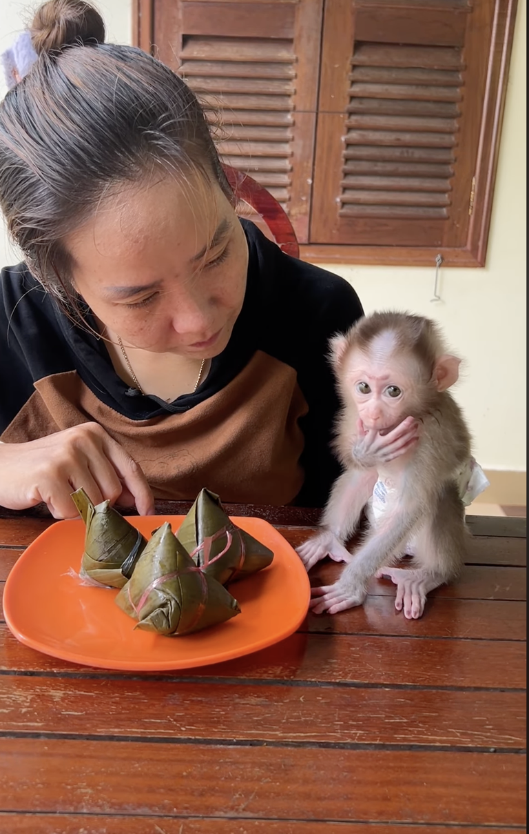 Mom Prepares Dinner for Baby Linda 🐒🍽️❤️