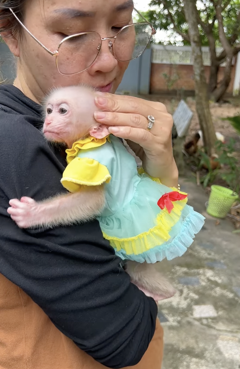 Lil ChiChi Gestures With Daddy 🐒💗 | A Sweet Little Moment Full of Love