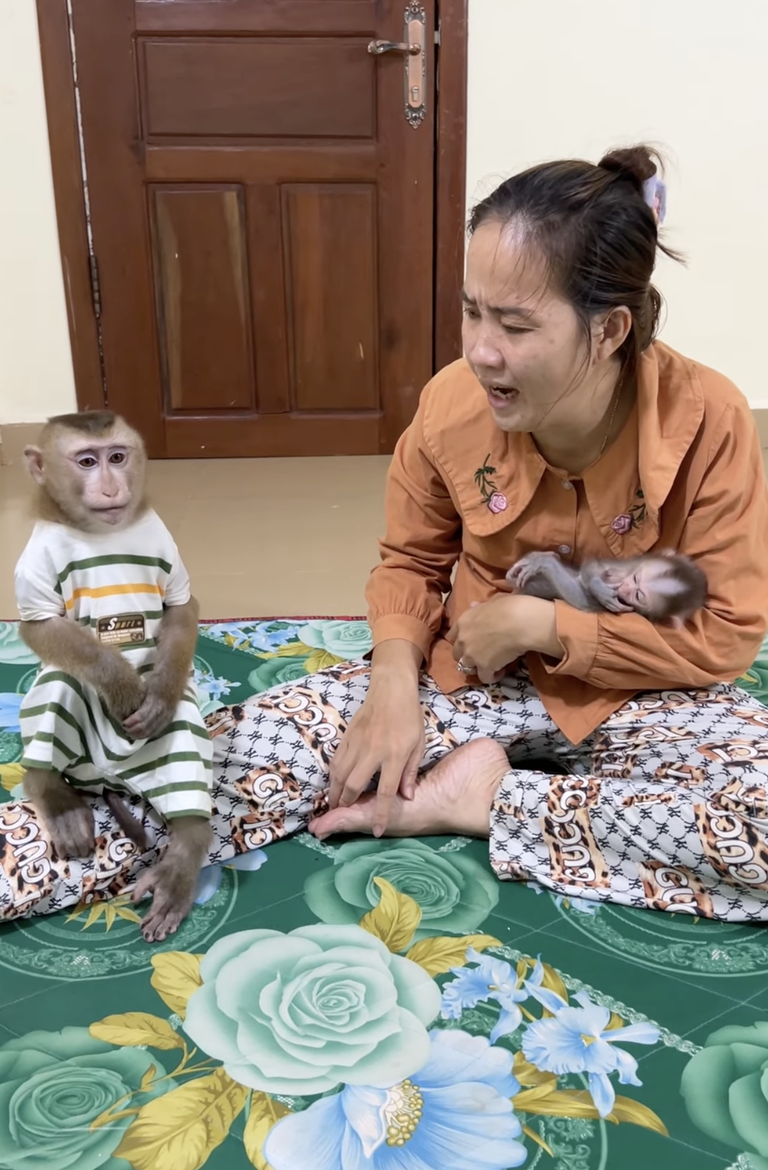 Mom Wants to Play With Baby Linda & Brother Jacky 🐒💕 | A Sweet Family Playtime