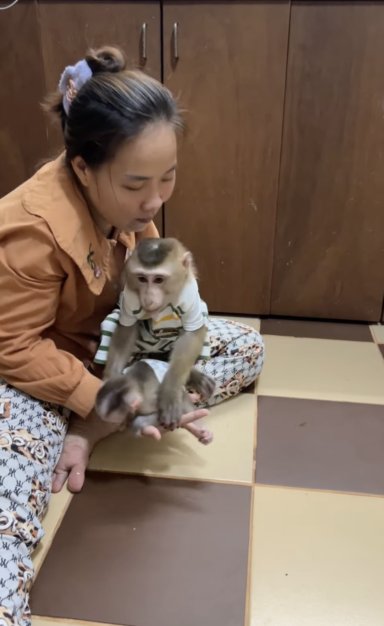 King Jacky Dancing Show for Baby Linda and Mommy! 👑🐒💃 | Funniest Family Moment