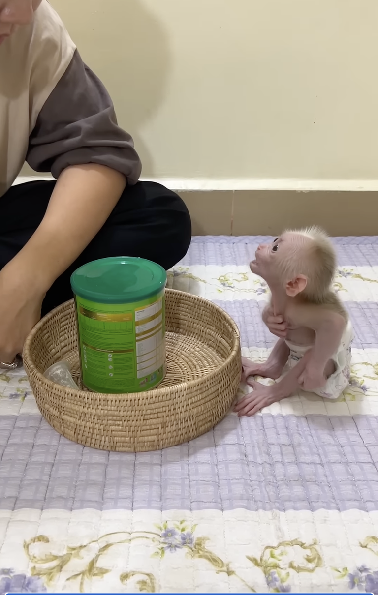 Mom Care Baby ChiChi so Much