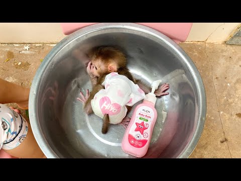Bath Time for a Little Monkey, One Gentle Scrub at a Time