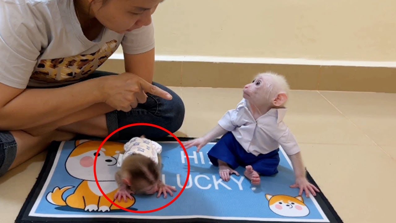 Pavpav sits low and quiet on the mat as his caregiver leans in to correct him after biting Titas