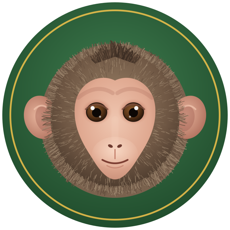 cutemonkey.info